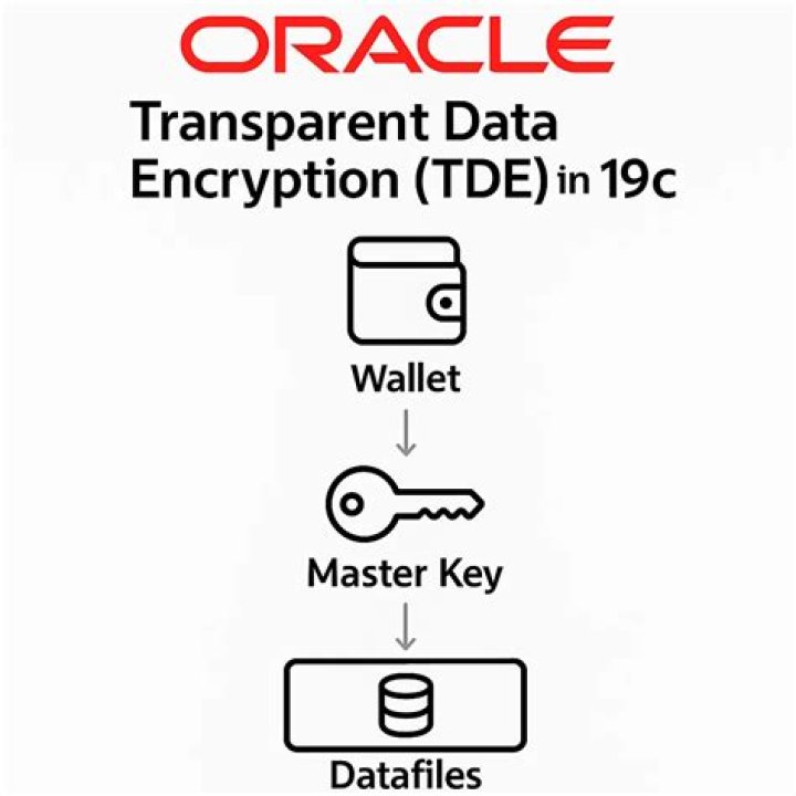 What is transparent data encryption used in Oracle
