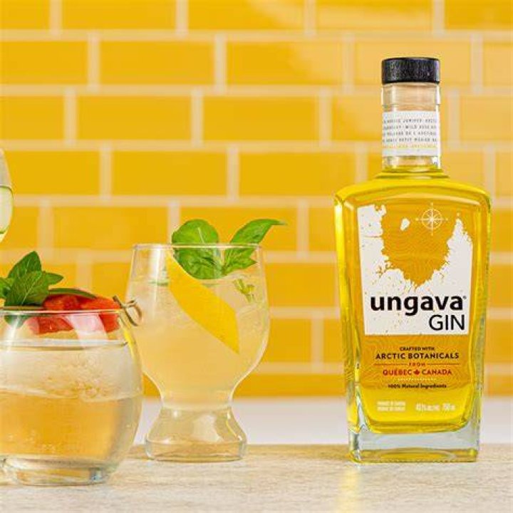 What is Ungava gin