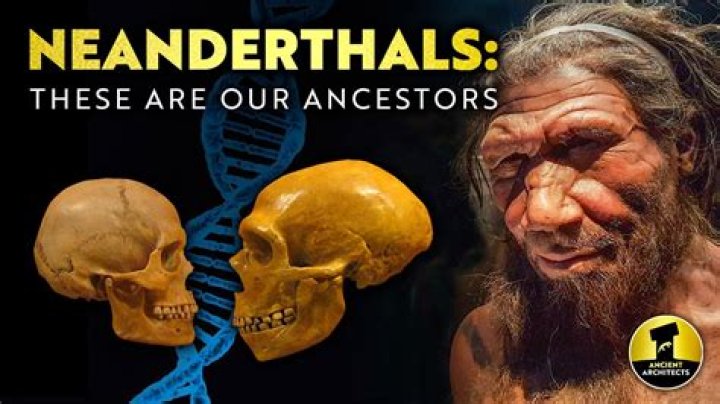 What is unique about Neanderthals