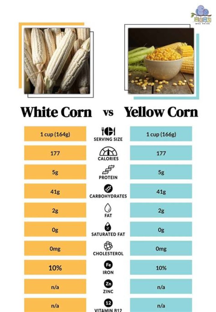 What is white corn used for