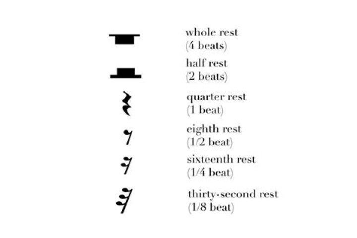 What is whole rest