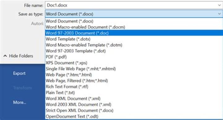 What is Word 2003 XML document