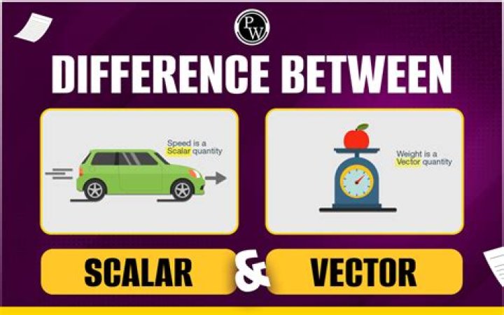 What is work scalar or vector
