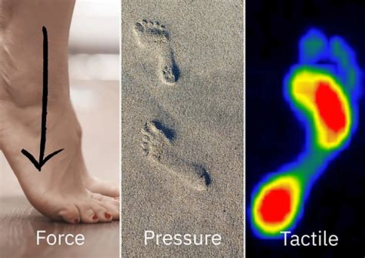 What means tactile sensing