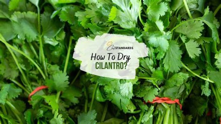 What nutrients are in cilantro