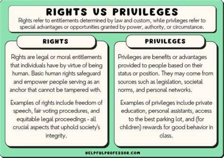 What privileges do state citizens have