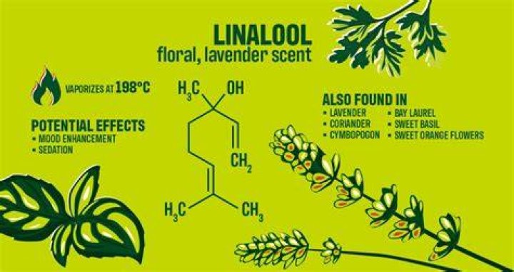 What products have linalool