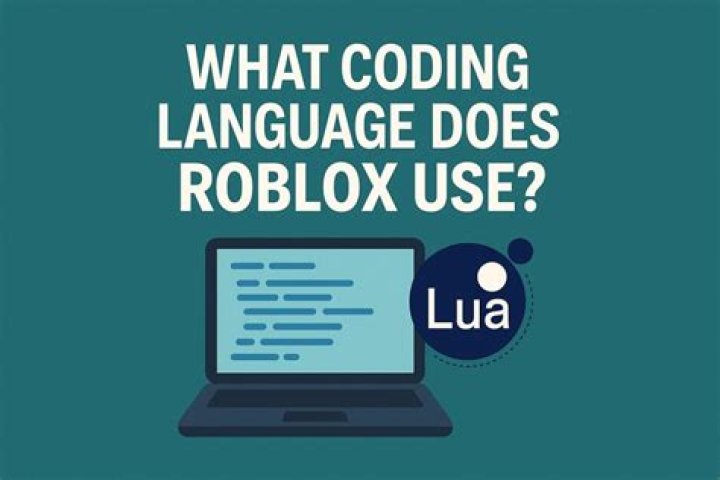 What programming language does Google home use