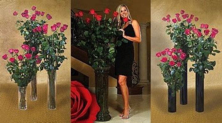 What Rose has the largest bloom