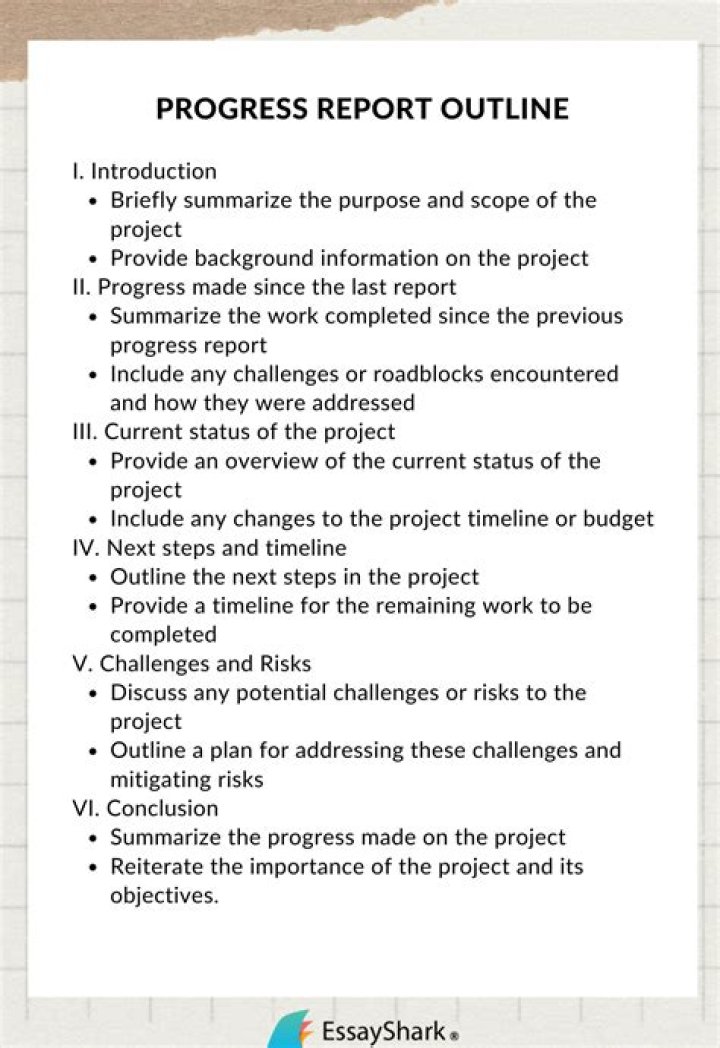 What should progress reports include