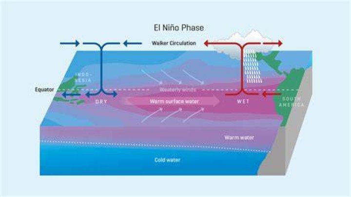 What should we do during El Nino