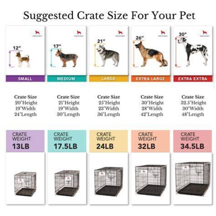 What size crate does my dog need