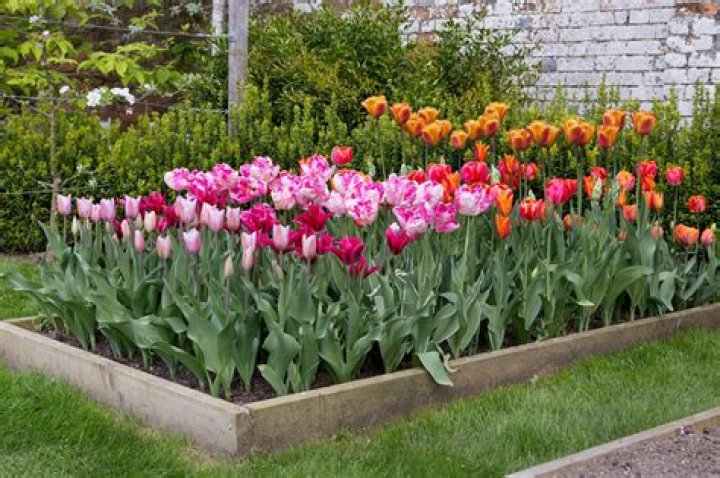 What size should a flower bed be