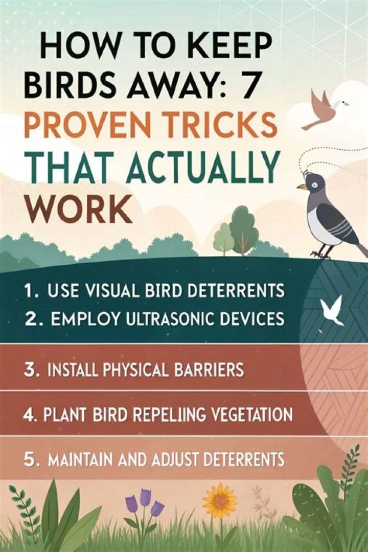 What spray will keep birds away