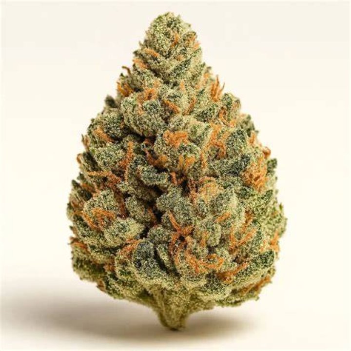 What strains make gg4