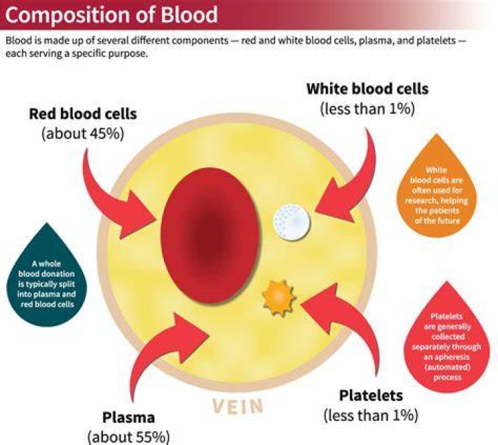 What the difference between red blood cells and platelets