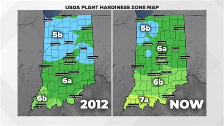 What Tree Zone is Indiana