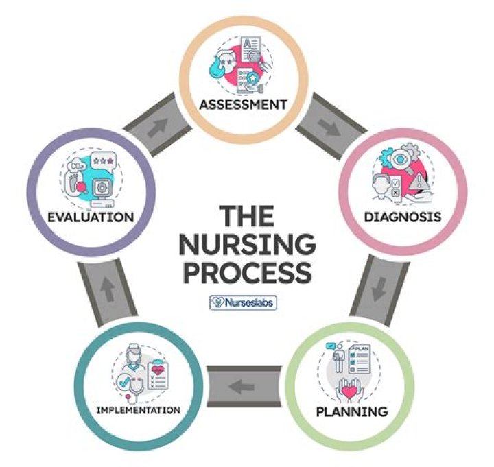 What was the first nursing theory