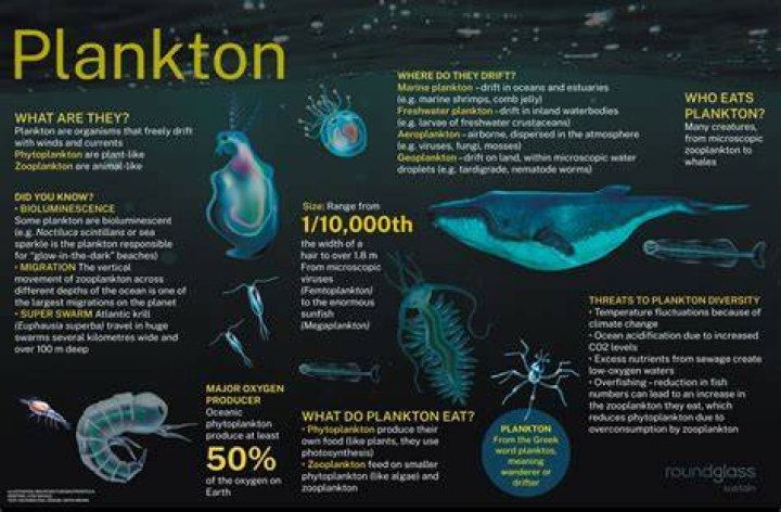 Whats planktons middle name