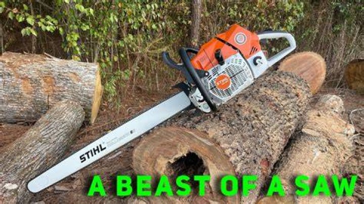 Whats the most expensive chainsaw