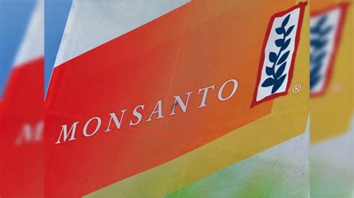 Whats wrong with Monsanto