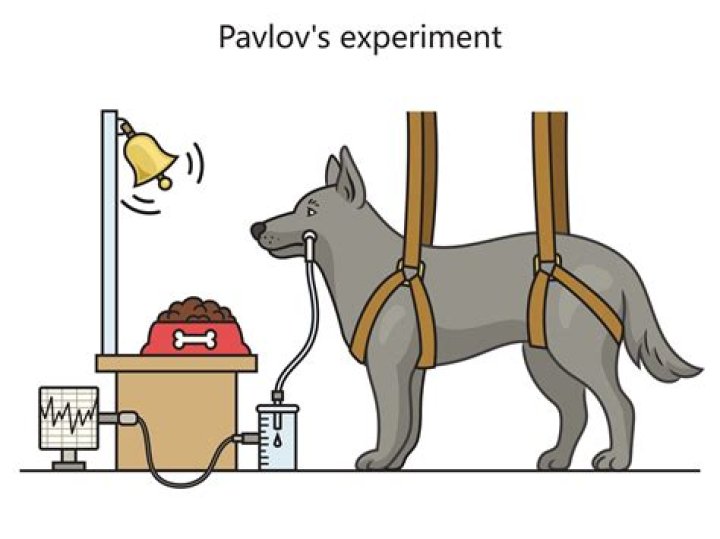 When did Pavlov Do the Dog experiment