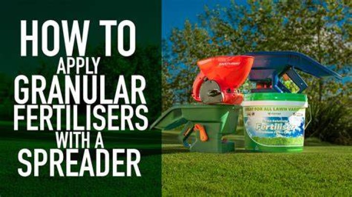 When should I apply lawn fertilizer