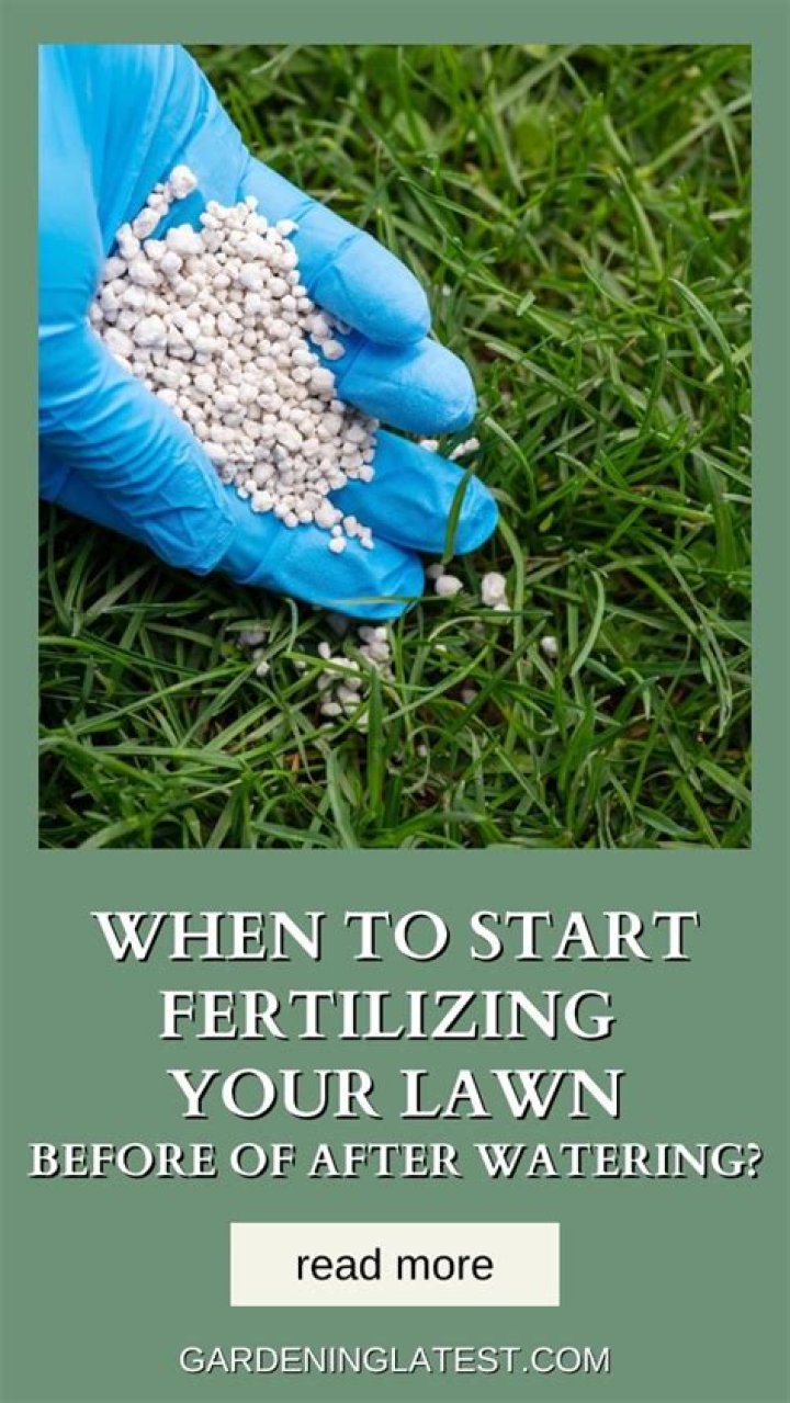 When should I stop fertilizing my lawn