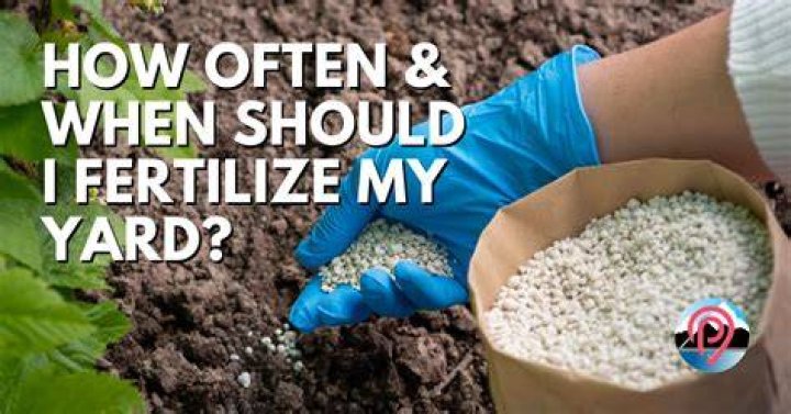 When Should U fertilize your lawn