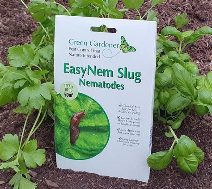 When should you use nematodes
