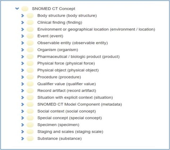 When was snomed CT created