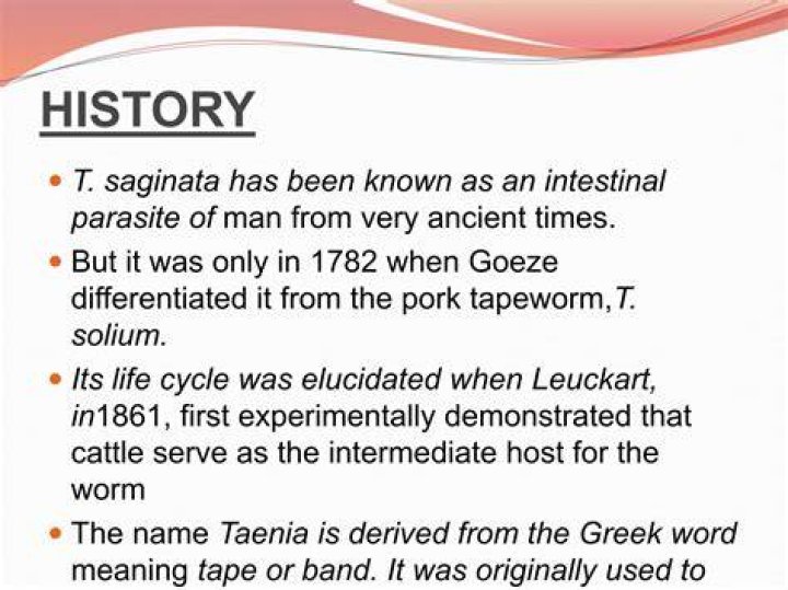 When was tapeworm discovered