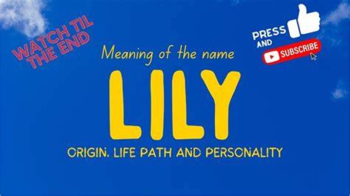 When was the name Lily first used