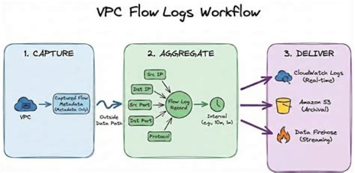 Where are VPC flow logs
