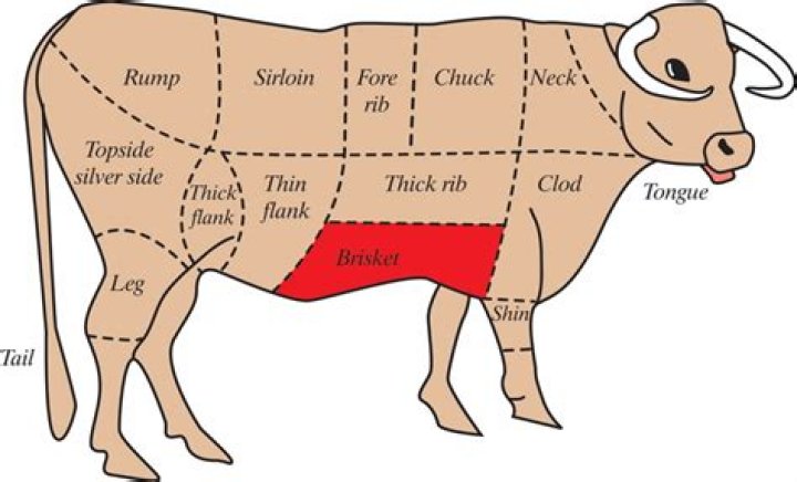 Where does beef shin come from