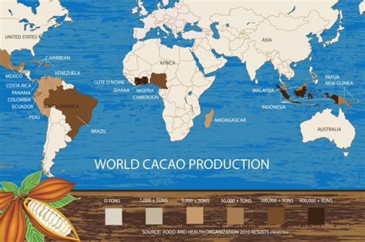 Where does chocolate come from Africa