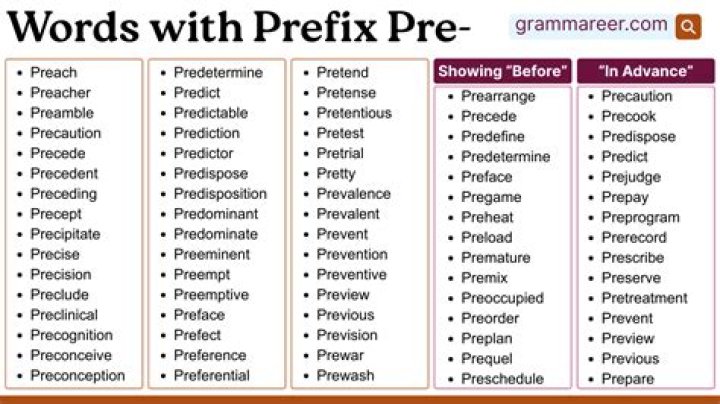 Where does the prefix pre come from