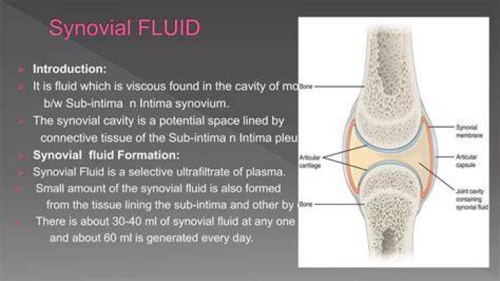 Where synovial fluid is found