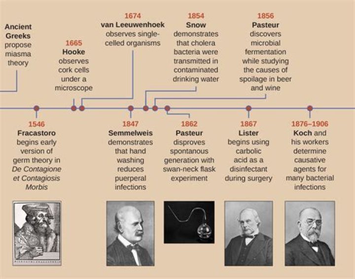 Which scientist observed tiny pond organisms using his microscope and called them Animalcules