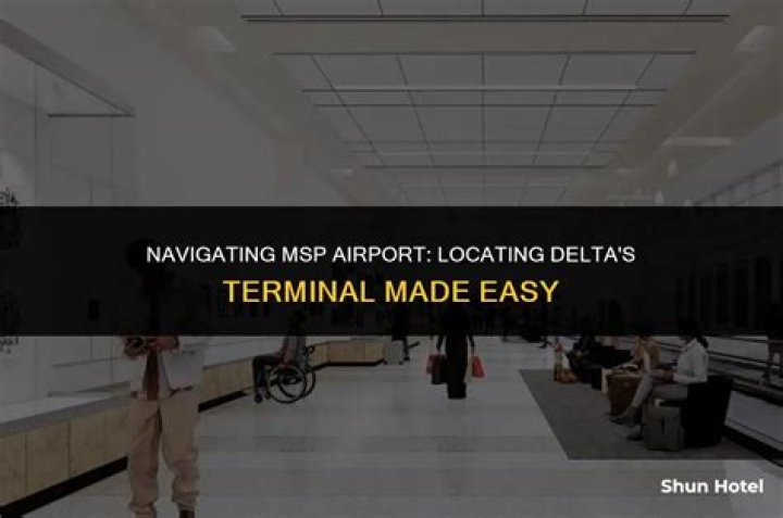 Which terminal is Delta at MSP