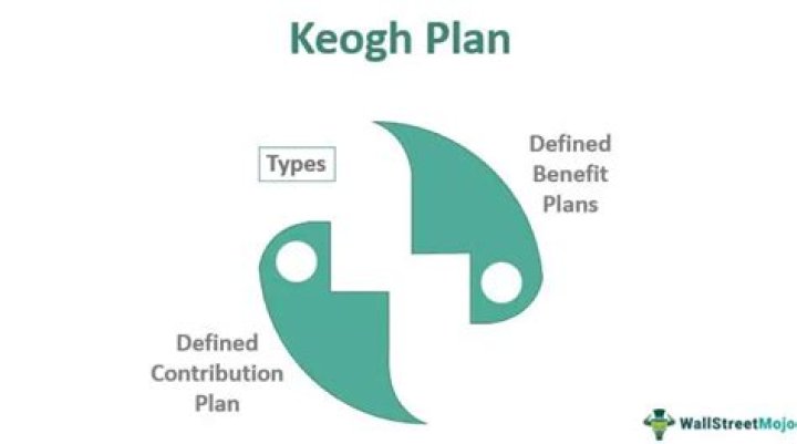 Who qualifies for a Keogh plan
