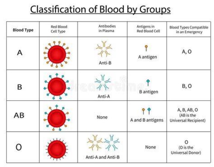 Why are ABO antibodies IgM