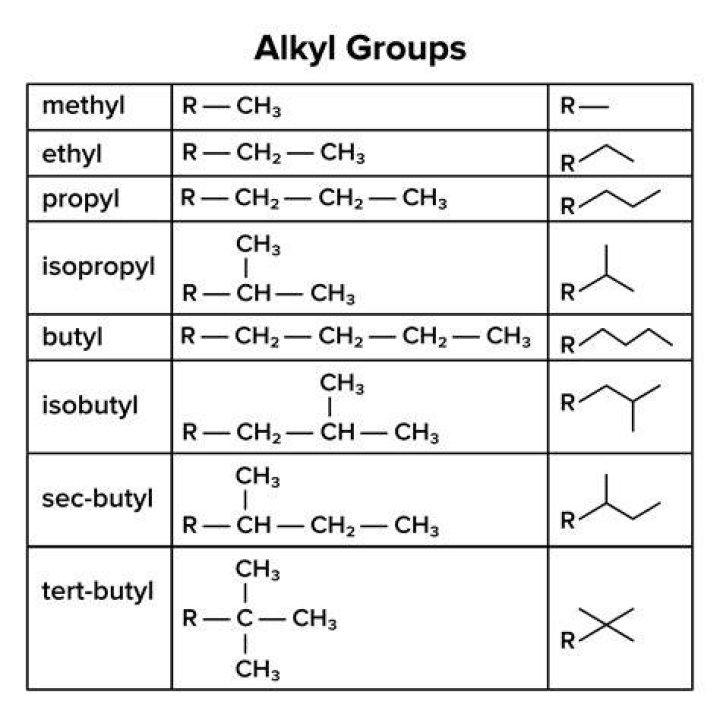 Why are methyl groups important