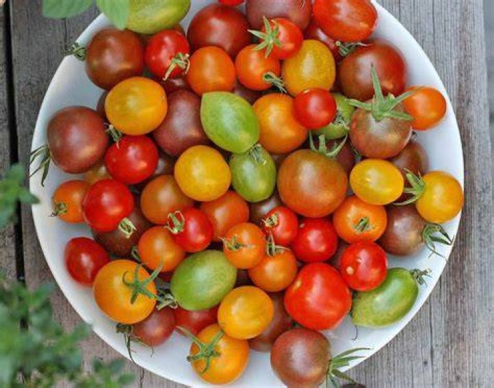 Why are my cherry tomatoes so small