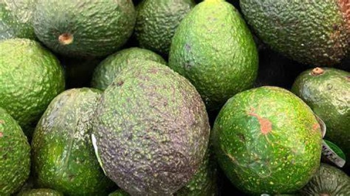 Why are some avocados bumpy