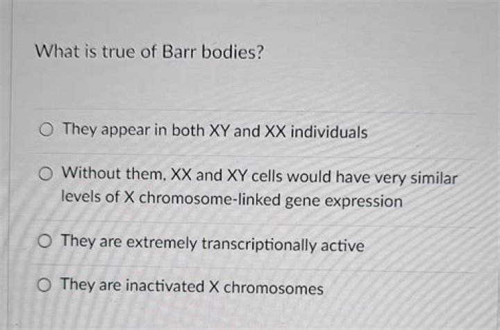 Why do Barr bodies exist