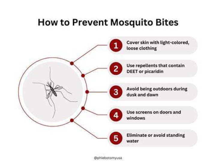 Why do mosquitoes vibrate