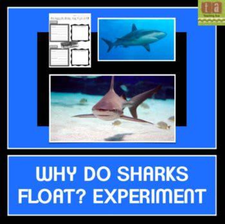Why do sharks float experiment
