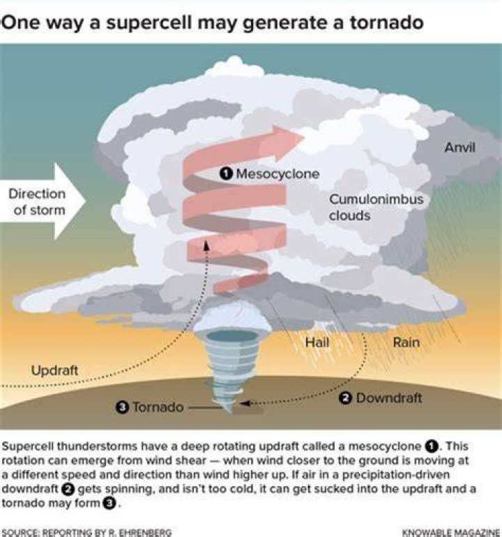 Why do supercells last longer