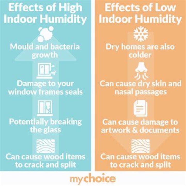 Why does my bathroom get so humid